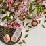 Decoración Set 003 - bahartanhaee