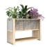 Maceta Planta en caja conjunto 103 - unisjamavari