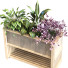 Maceta Planta en caja conjunto 103 - unisjamavari