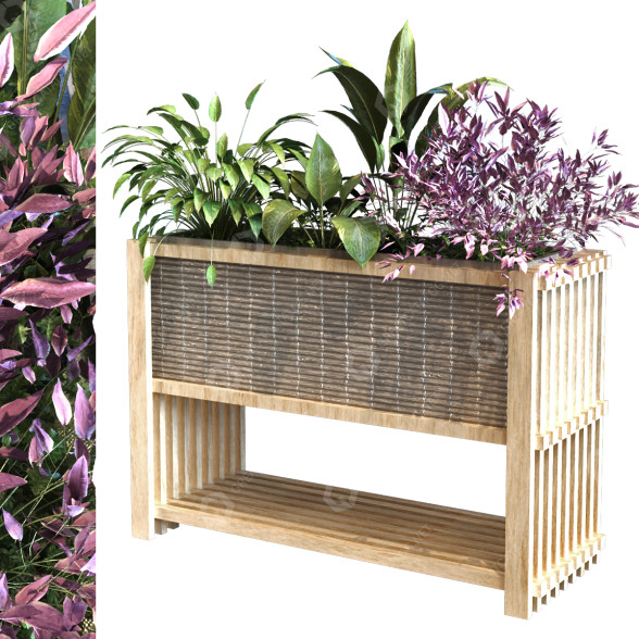 Maceta Planta en caja conjunto 103 Modelo 3D