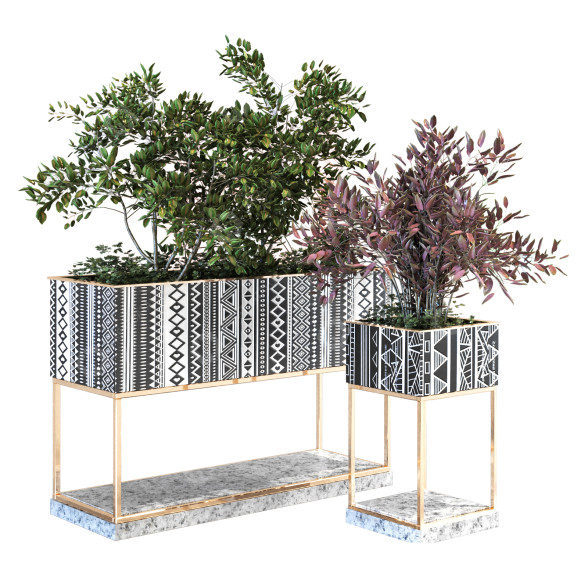 Macetas Planta en caja conjunto 106 Modelo 3D