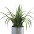 Doniczka Plant in Vase Set 107 - unisjamavari