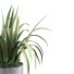 Doniczka Plant in Vase Set 107 - unisjamavari