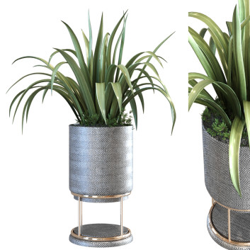 Maceta  Planta en jarrón conjunto 107 Modelo 3D