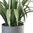 Doniczka Plant in Vase Set 107 - unisjamavari