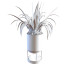 Doniczka Plant in Vase Set 107 - unisjamavari