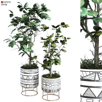 Macetas  Planta en jarrón conjunto 105 Modelo 3D