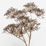 Jarrones y plantas Set Bouquets Hazel - bahartanhaee