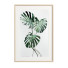Картини Wall Frame 3 - ZaraCo