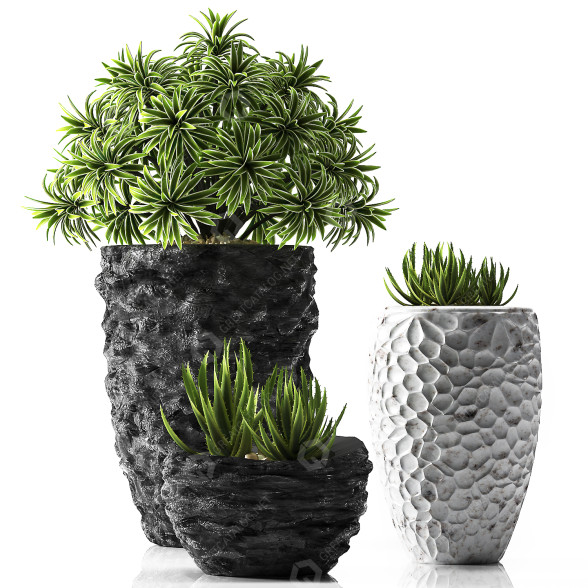 Flowerpots Plants 31 3D model
