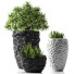 Flowerpots Plants 31 - SABHAT KHAN