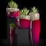 Flowerpots Plants 32 - SABHAT KHAN