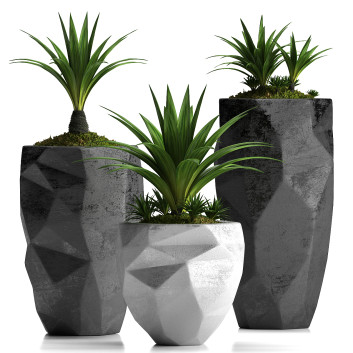 Flowerpots Plants 33 3D model