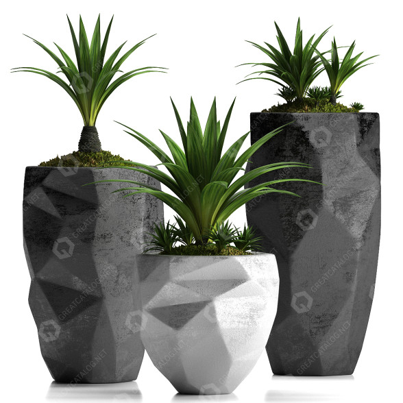 Flowerpots Plants 33 3D model