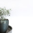 Decoración Breakfast Set 031 - unisjamavari