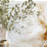 Decoración Set 022 - unisjamavari