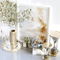 Decoración Set 022 - unisjamavari