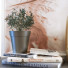 Decoración Set 023 - unisjamavari