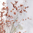 Decoración Set 023 - unisjamavari