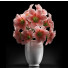 Blumenstrauß Amaryllis Rosa - SABHAT KHAN