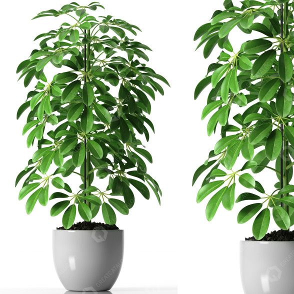 Doniczka Plants 35 model 3D