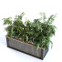 Doniczka Plant in Box Set 110 - unisjamavari