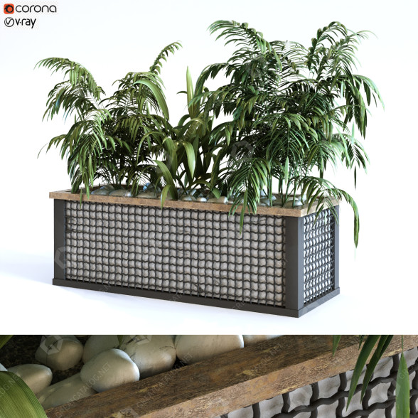 Doniczka Plant in Box Set 110 model 3D
