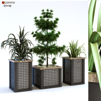 Doniczki  Plant in Box Set 112 Model 3D
