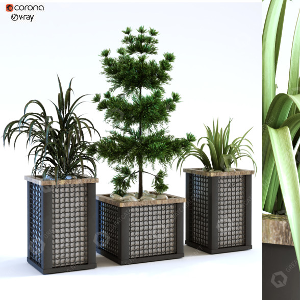 Macetas Planta en caja conjunto 112 Modelo 3D