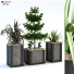 Macetas Planta en caja conjunto 112 - unisjamavari