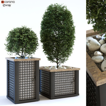 Doniczki  Plant in Box Set 113 Model 3D