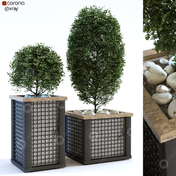 Macetas Planta en caja conjunto 113 Modelo 3D