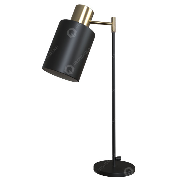 Настільнa лампа Study Light 12 3D модель