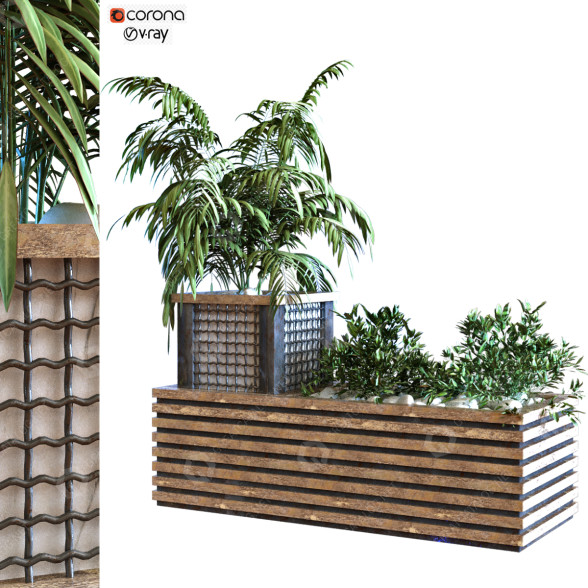 Maceta Planta en caja conjunto 114 Modelo 3D