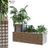 Maceta Planta en caja conjunto 114 - unisjamavari