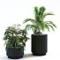 Doniczki Plant in Box Set 117 - unisjamavari