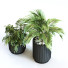 Doniczki Plant in Box Set 117 - unisjamavari