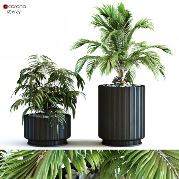 Doniczki  Plant in Box Set 117 Model 3D