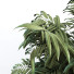 Doniczki Plant in Box Set 117 - unisjamavari