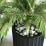 Doniczki Plant in Box Set 117 - unisjamavari