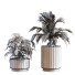 Doniczki Plant in Box Set 117 - unisjamavari