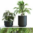Doniczki Plant in Box Set 117 - unisjamavari