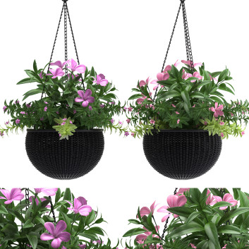 Blumentopf  Hängende Körbe 3D-Modell