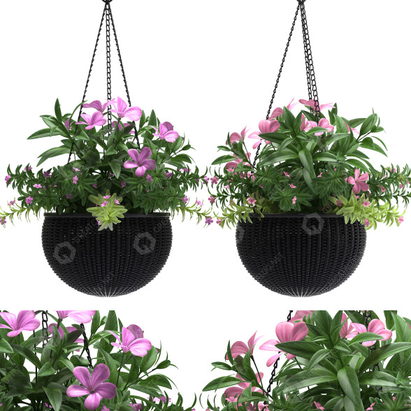 Blumentopf Hängende Körbe 3D-Modell