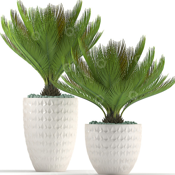 Doniczki Plants 39 model 3D