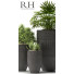 Doniczki Plants 42 - SABHAT KHAN