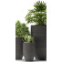 Doniczki Plants 42 - SABHAT KHAN