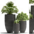 Doniczki Plants 42 - SABHAT KHAN