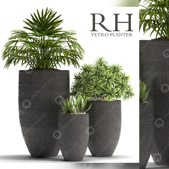 Doniczki Plants 42 model 3D