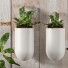 Doniczki Plants 43 - SABHAT KHAN